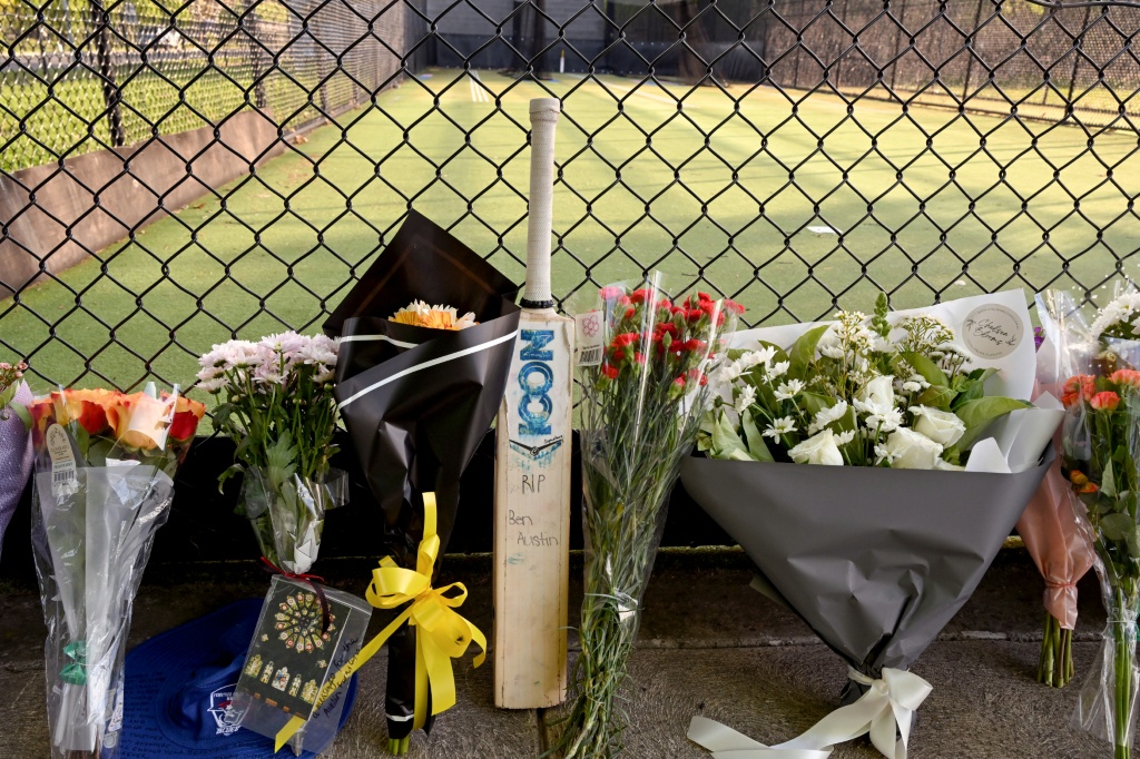 Teenage Australian cricketer dies after being hit by ball