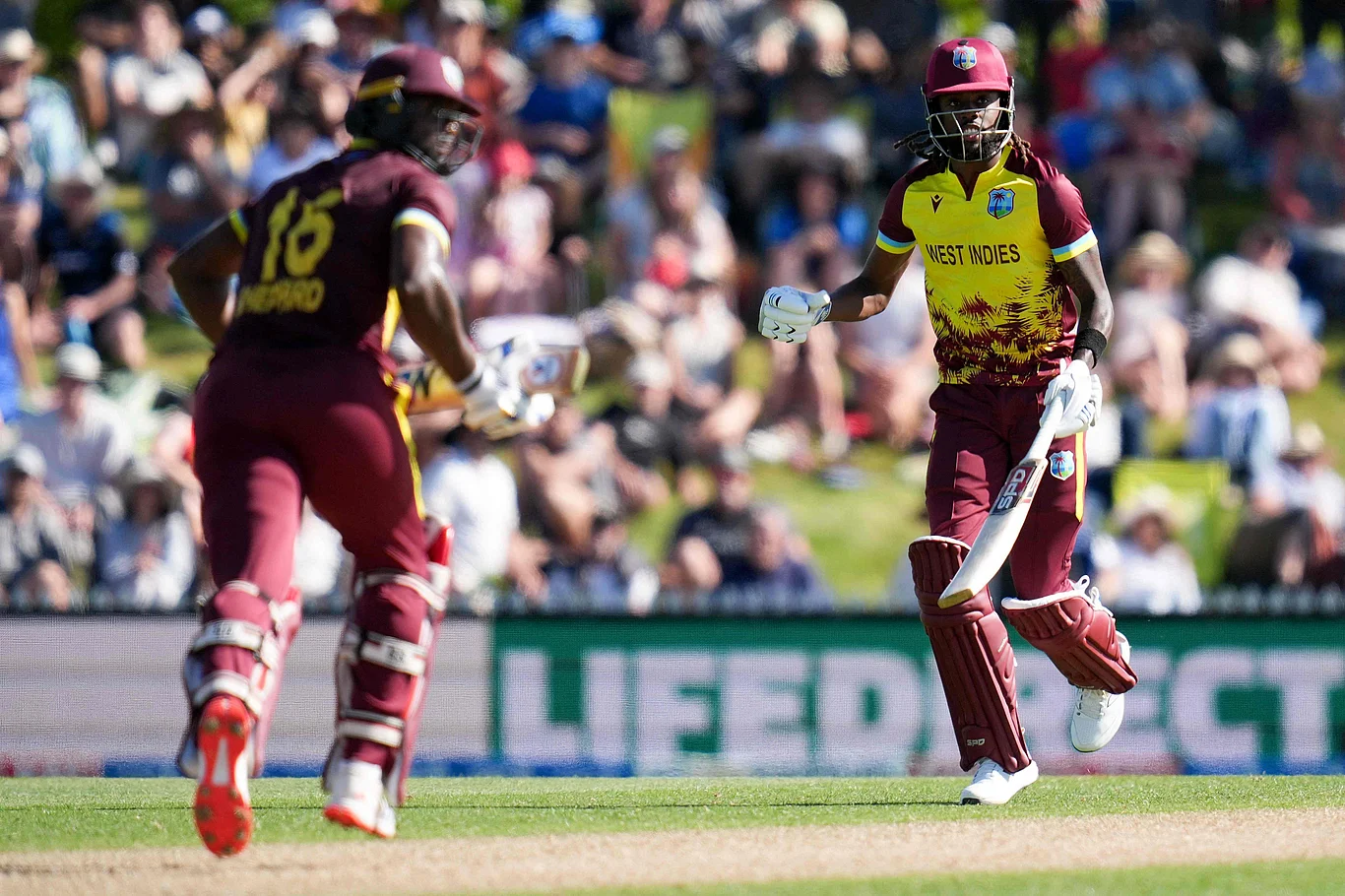বৃথা গেল শেফার্ড-স্প্রিঙ্গারের রেকর্ড জুটি, জিতল নিউজিল্যান্ড