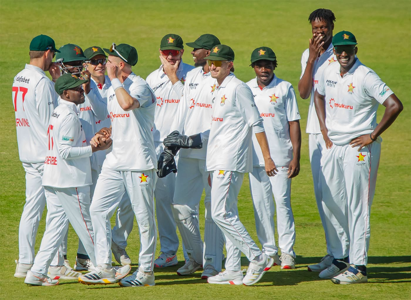 Zimbabwe team celebrate a wicket