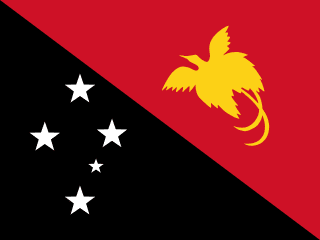 Papua New Guinea team flag
