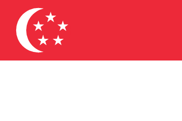 Singapore team flag